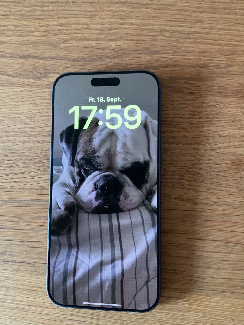 Apple Telefoni cellulari / Smartphones: iPhone 17 Pro Max 256GB Dunkelblau – Nuovo (secondo la descrizione) da Oberembrach venduto da BulldoggBen9