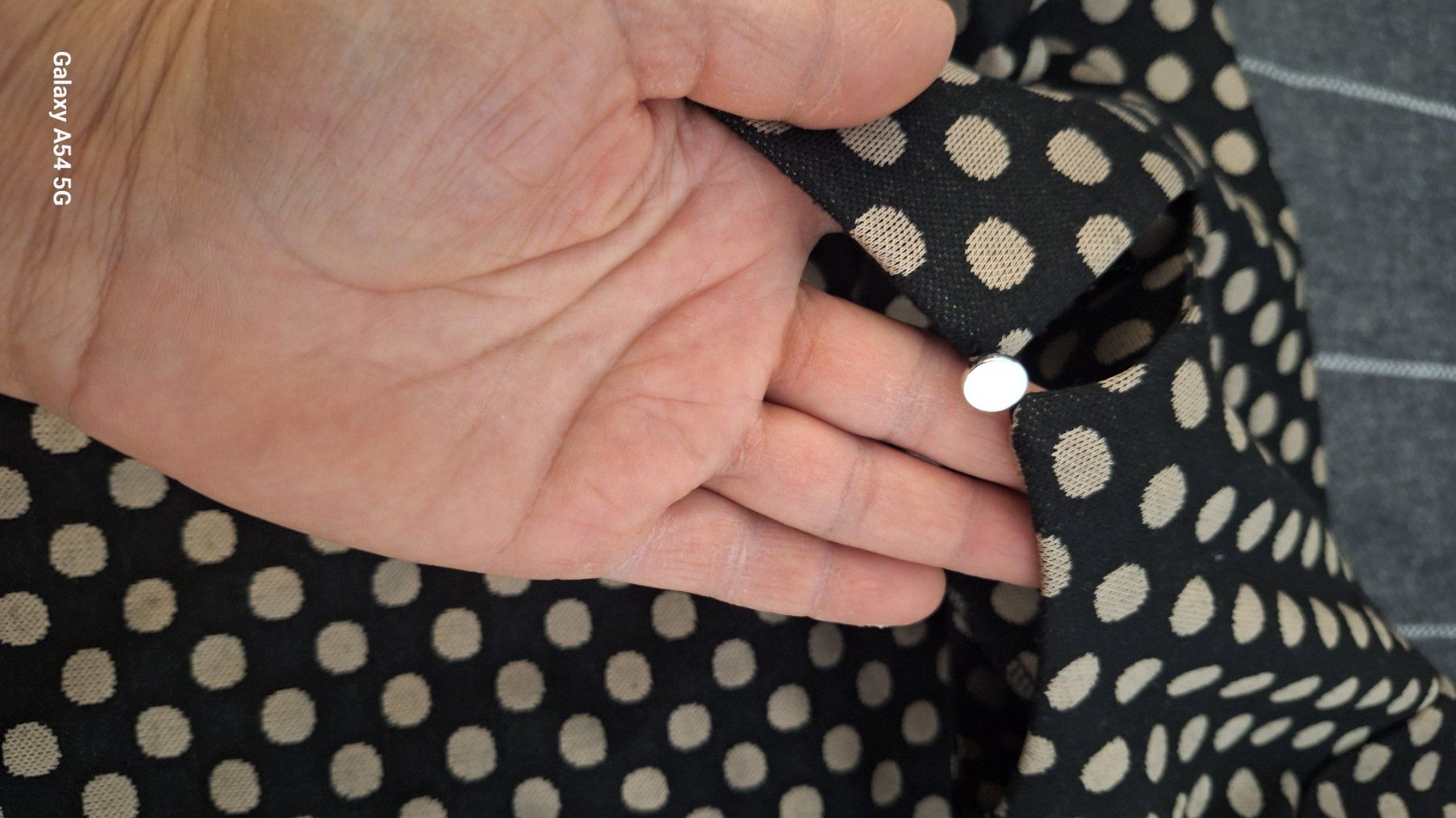 Dorothy Perkins Vestiti: kleid – Usato da Oberglatt ZH venduto da nat_c6k7 6