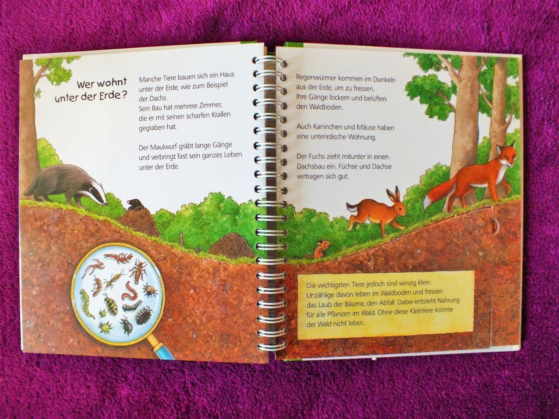 Libri: Wieso Weshalb Warum Junior Buch - Der Wald – Usato da Müllheim Dorf venduto da Seeeule01 5