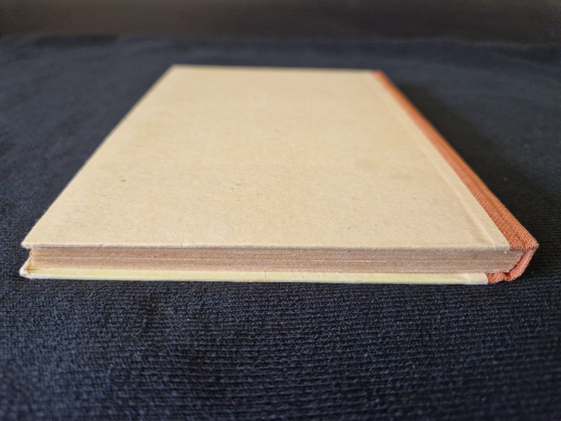 Libri: FRIDA SCHANZ "Sonnige Geschichtchen" – Usato da Muhen venduto da Restwert_Muhen 3