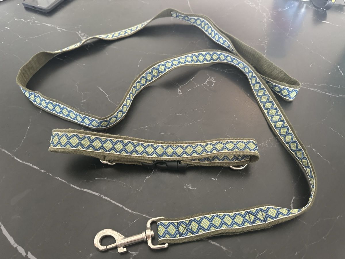 Leine & Halsband: Leine sowie Halsband Set farbig – Gebraucht aus Niederglatt ZH von vul_v86c 1