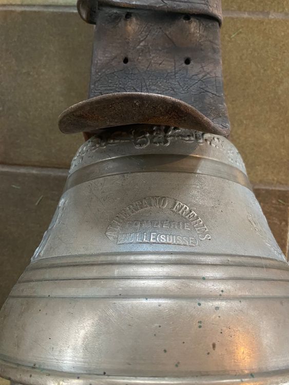 Cloche Kaufen auf Ricardo