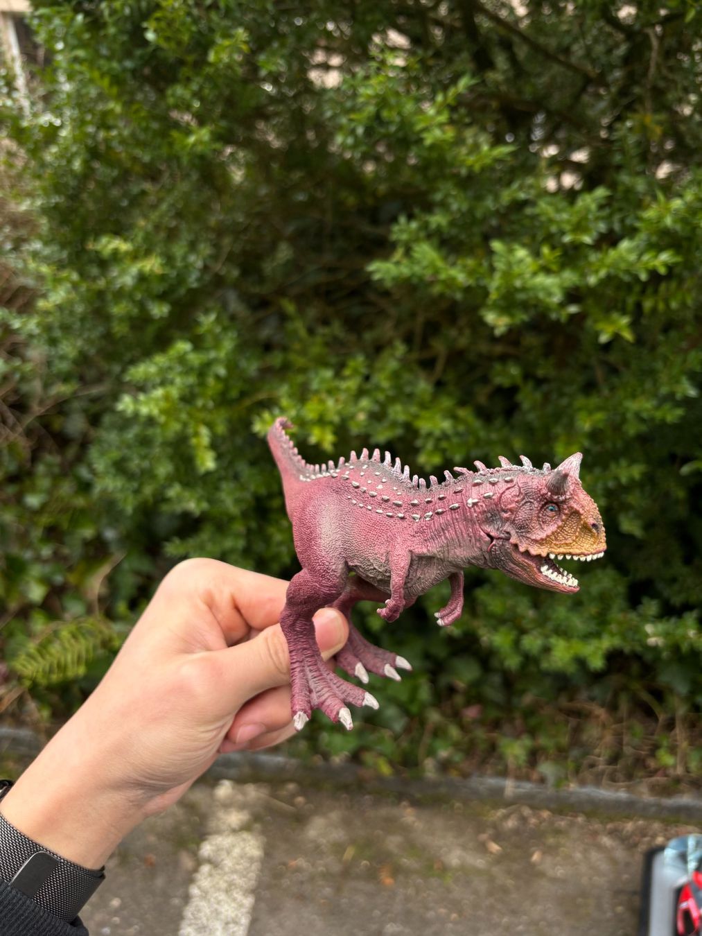 Schleich Giocattoli: Schleich Dinosaurier Carnosaurus. – Usato da Stäfa venduto da MazzaH 1