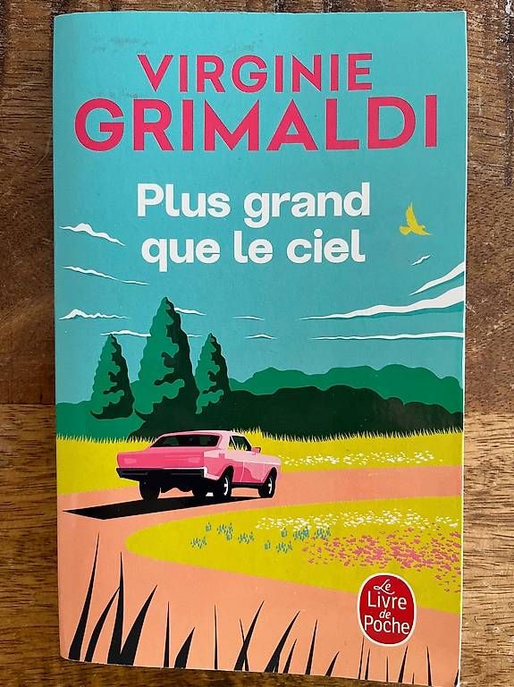 Libri: Plus grand que le ciel de Virginie Grimaldi – Nuovo (secondo la descrizione) da Renens VD venduto da ele_dkq8