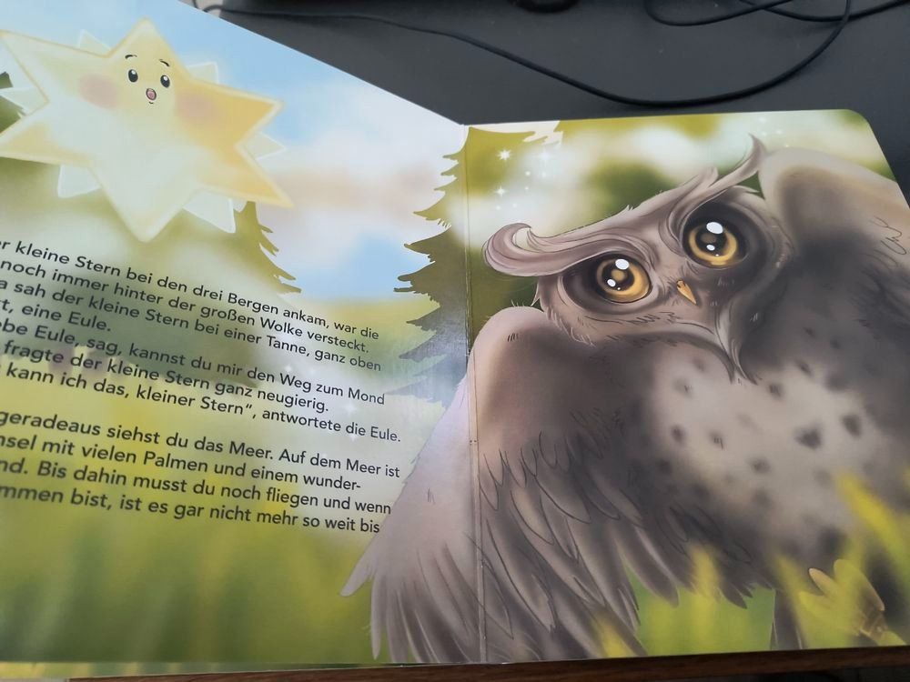 Libri: Der kleine Stern von Heidi Sutter – Usato da Schöfflisdorf venduto da kin_2dp9 2