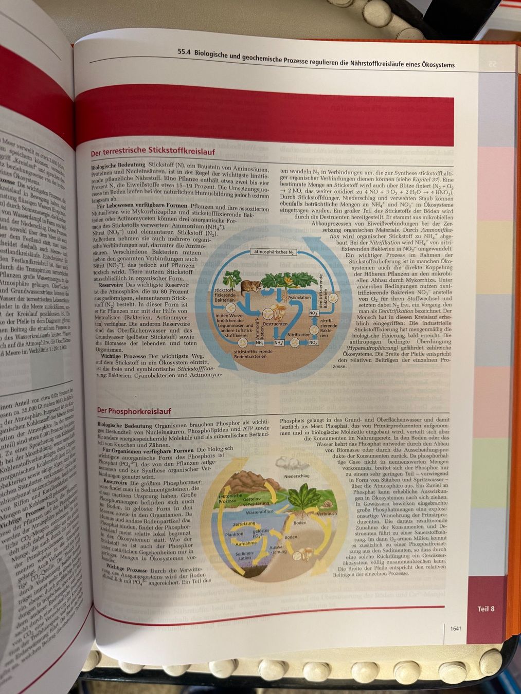 Libri: Campbell Biologie – Usato da Dietikon venduto da Buchantiqdietikon 7