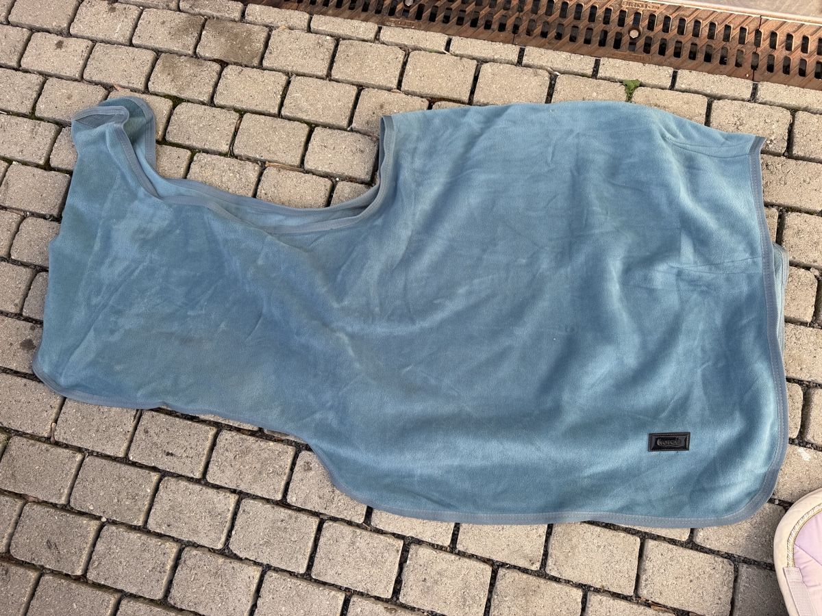 Coperte: Ausreitdecke 145 – Usato da Einigen venduto da Bern73