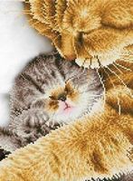 Diamond Dotz Katzen