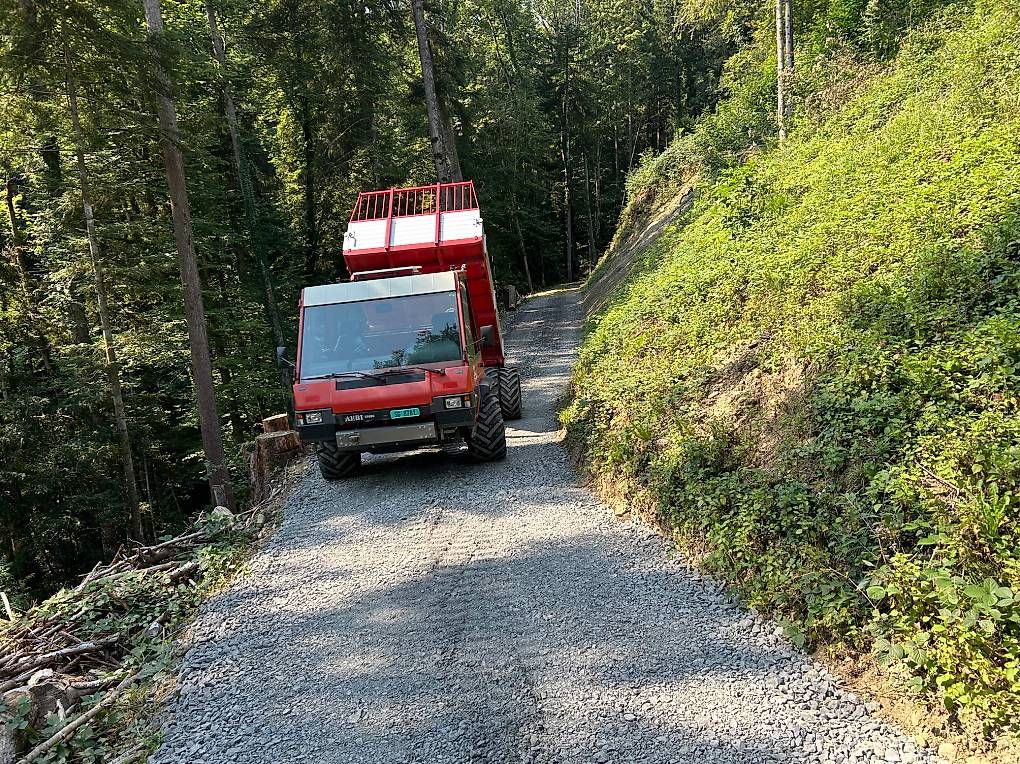 Traktoren: AEBI TP98 – Gebraucht aus Altstätten SG von mbt_j9fy