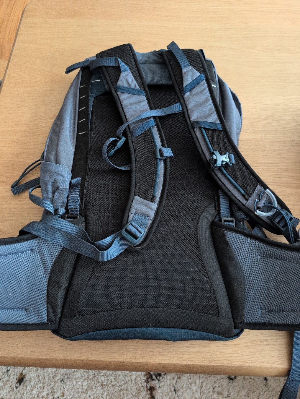 Osprey Sacs à dos: Osprey Rucksack - 1x getragen – Neuf (Voir description) à Bern par elizie 5