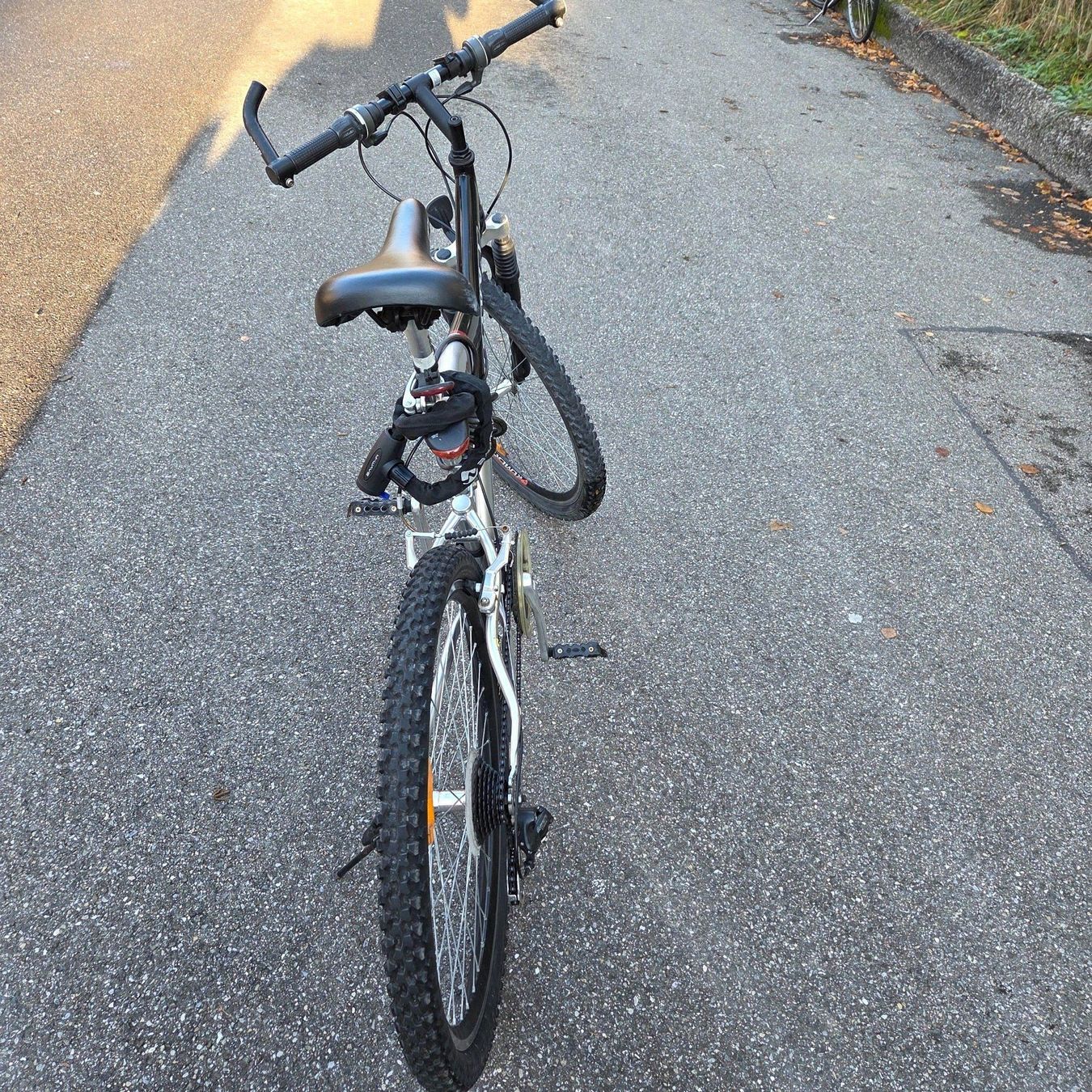 Velos: 10 Gang Heavy-I Tornado VELO – Gebraucht aus Zürich von ibmorgan 5