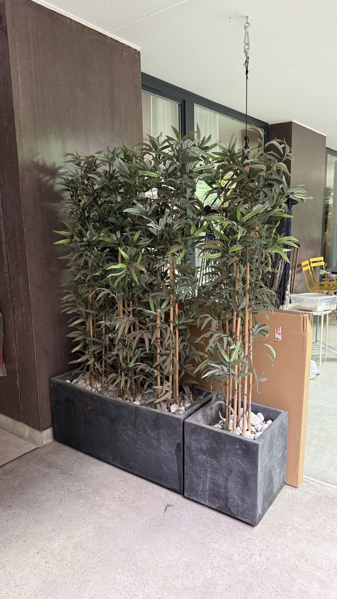 Piante & sementi: Bambou artificiel en pot – Usato da Genève venduto da Yannou17