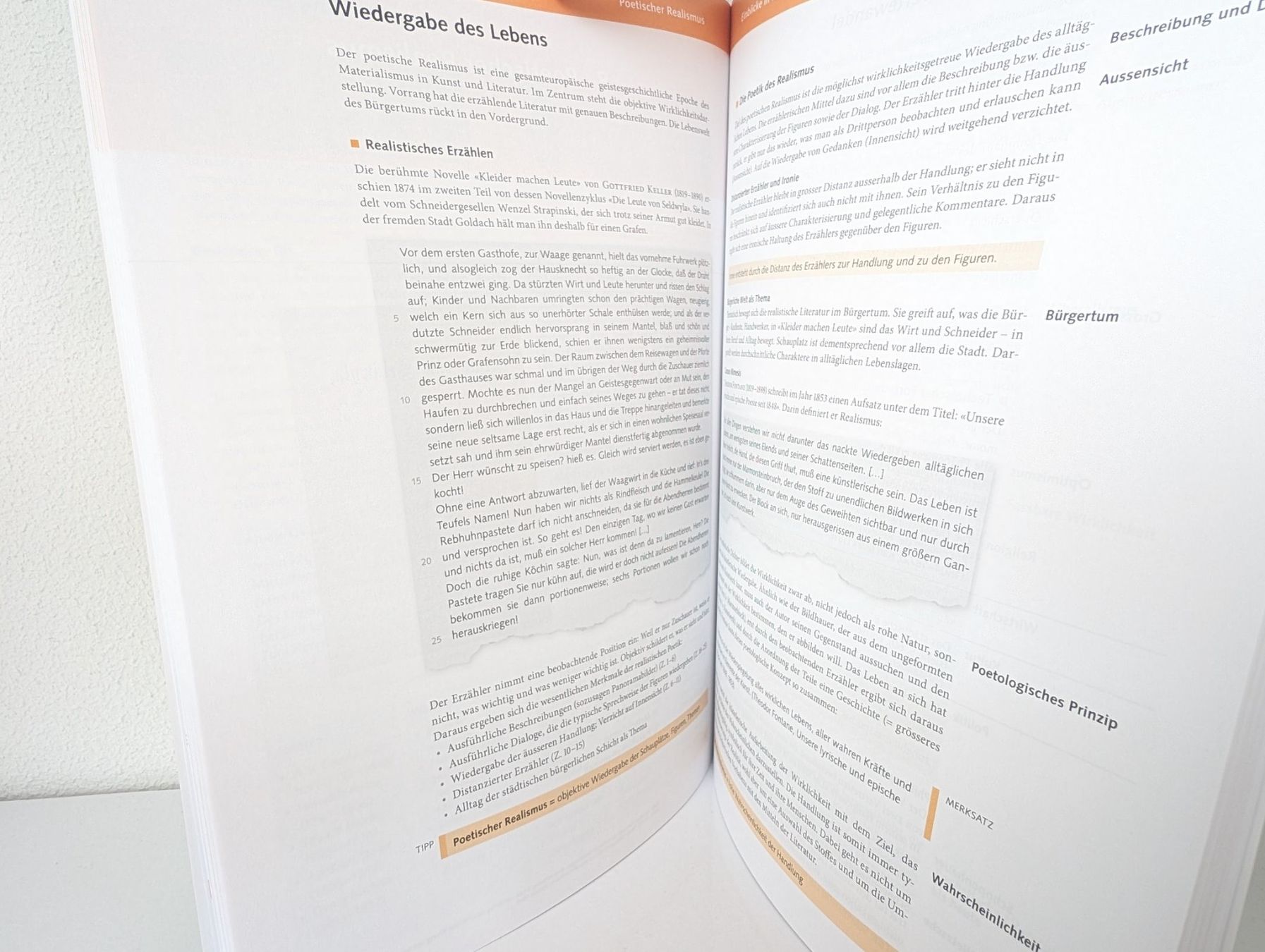 Bücher: Literaturgeschichte Deutsch am Gymnasium – Pascal Frey NEU! – Neu (gemäss Beschreibung) aus Ernetschwil von iri_m8y8 4