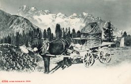 Esel - Gespann  CH   -   Korb-Transport    (Ort unbekannt)