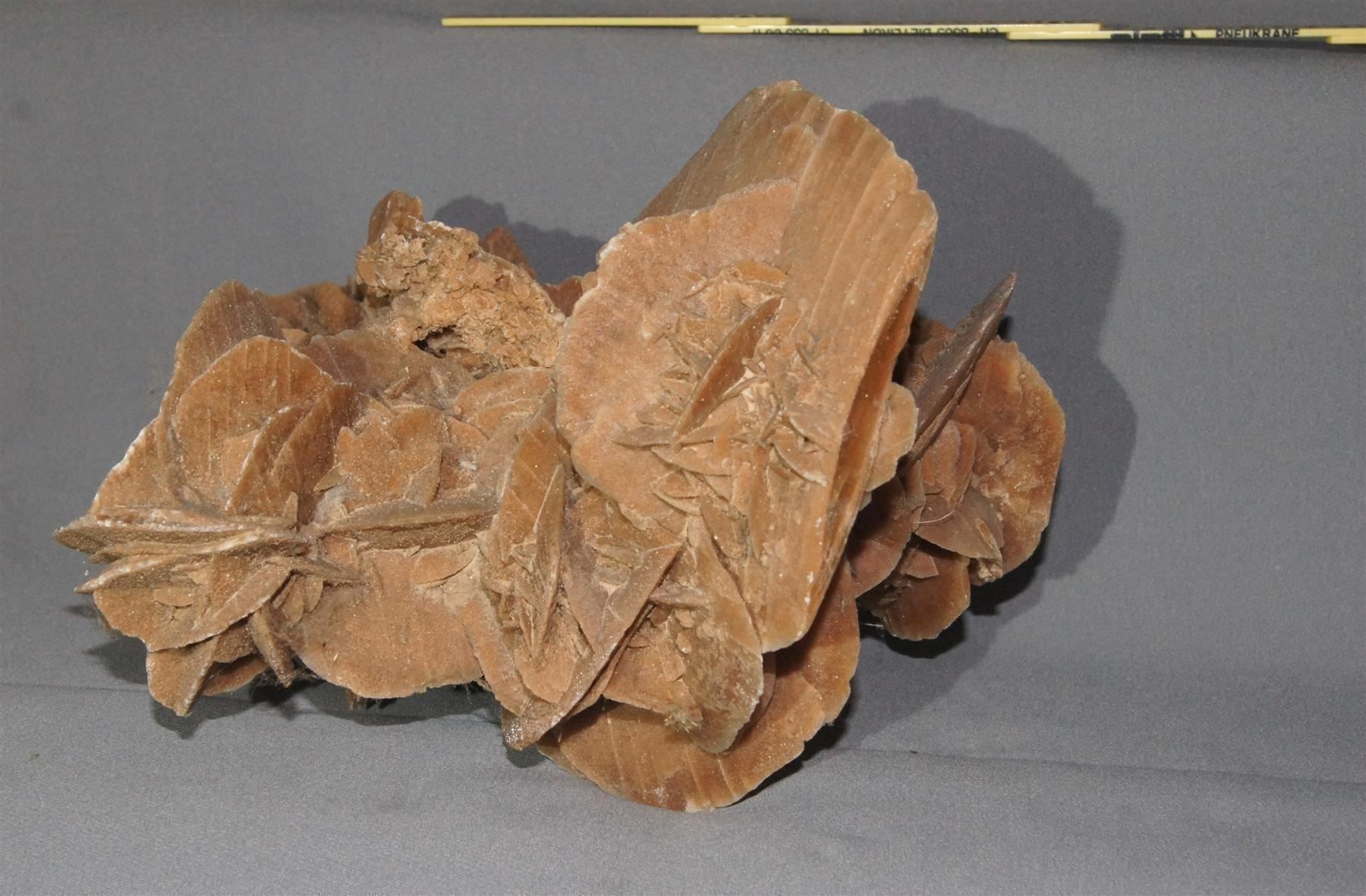 Mineralien & Heilsteine: Beeindruckende, grosse Sandrose – Gebraucht aus Geroldswil von ARTEFACTO 8