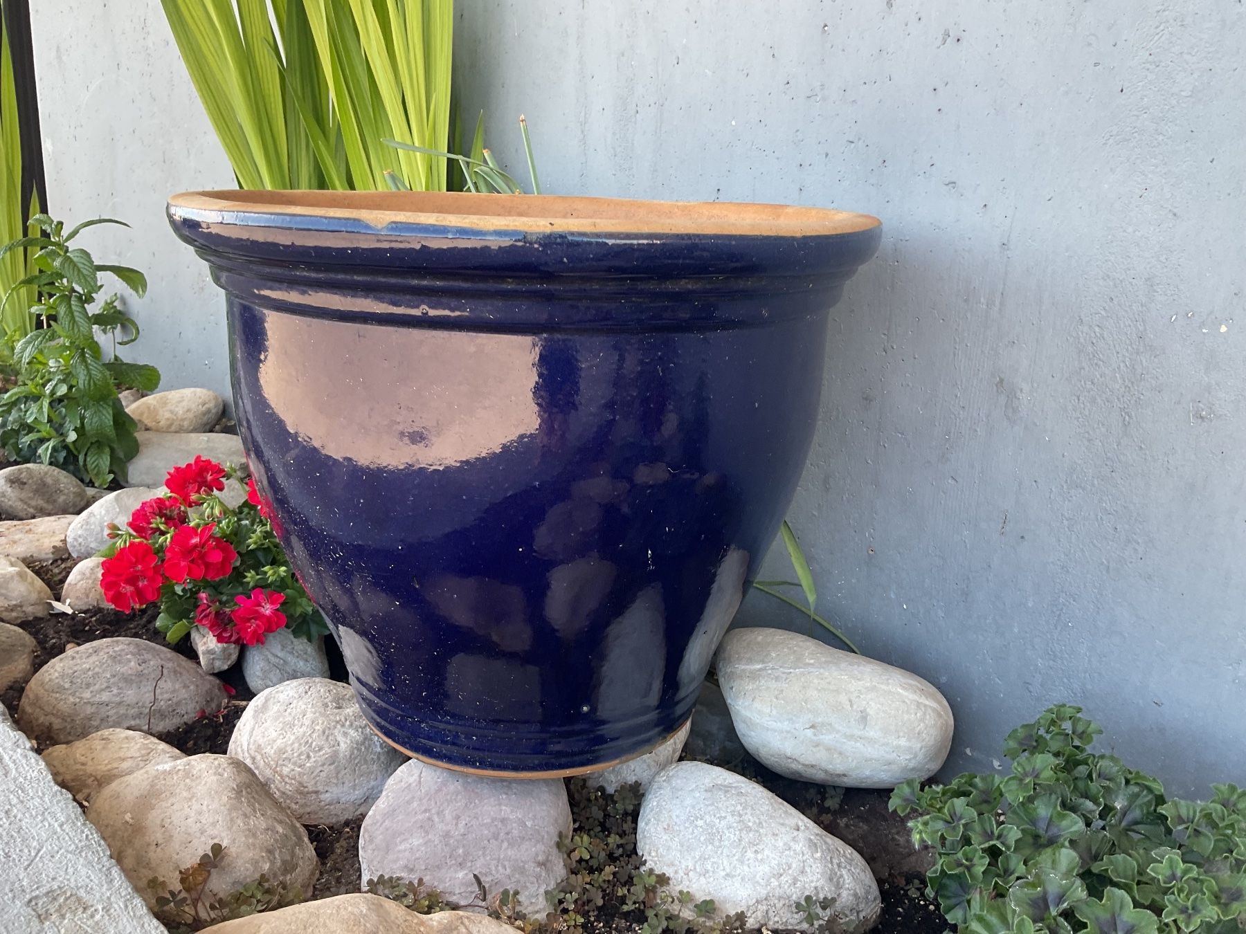 Vasi per fiori: Pot de fleurs en terracotta émaillée – Usato da Neuchâtel venduto da sta_7qfy 4