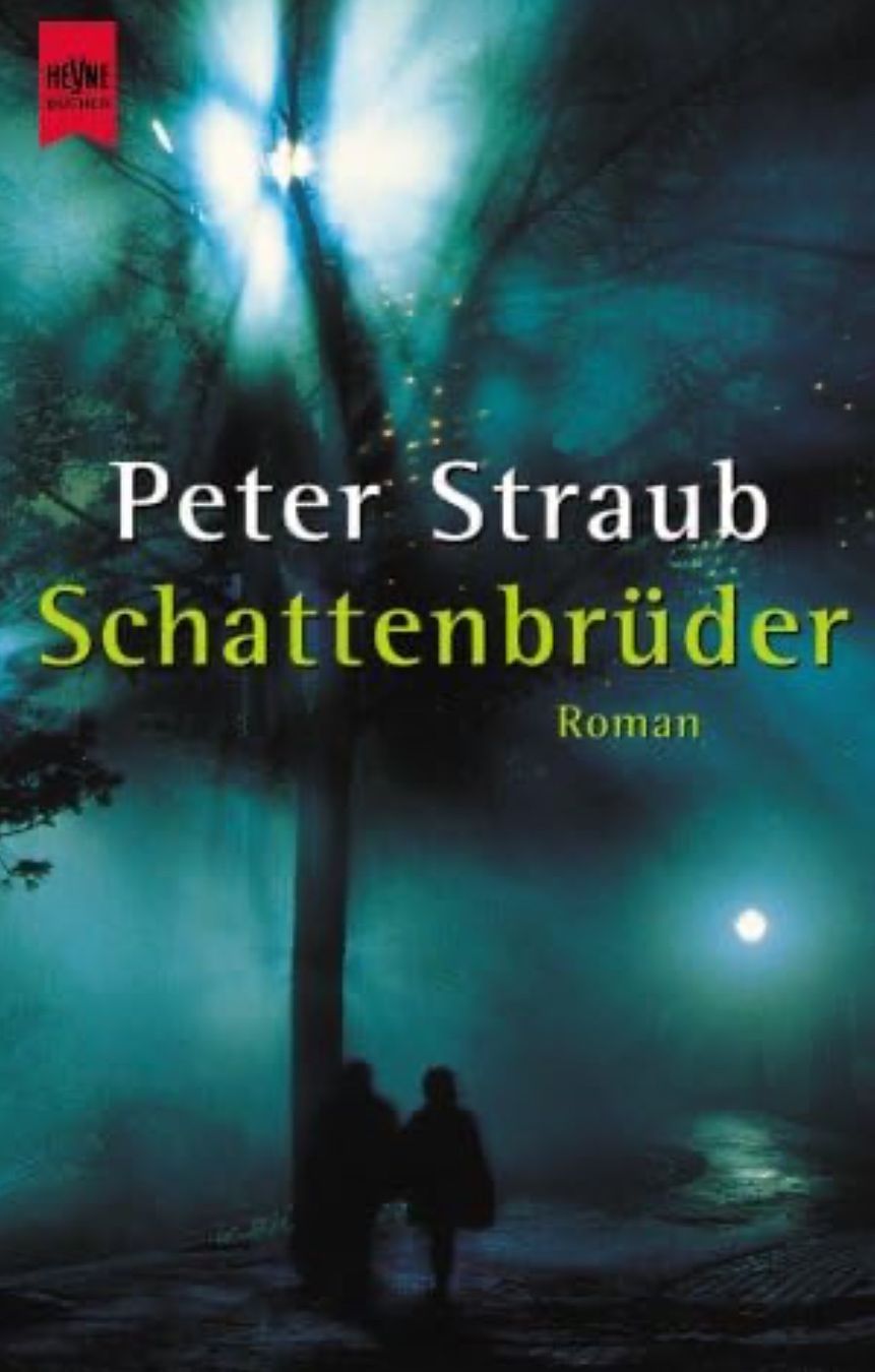 Libri: SCHATTENBRÜDER - PETER STRAUB - TASCHENBUCH – Usato da Buchs AG venduto da fischli610