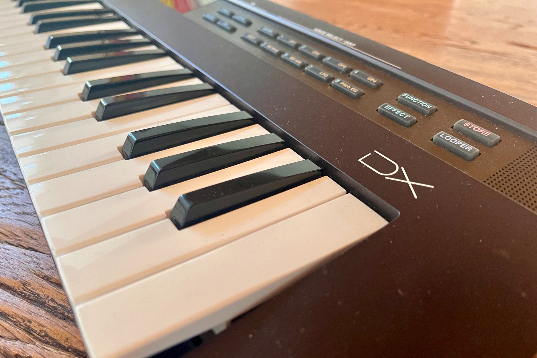 Strumenti musicali: Yamaha Reface DX – Usato da Hirzel venduto da MacPingu01 1