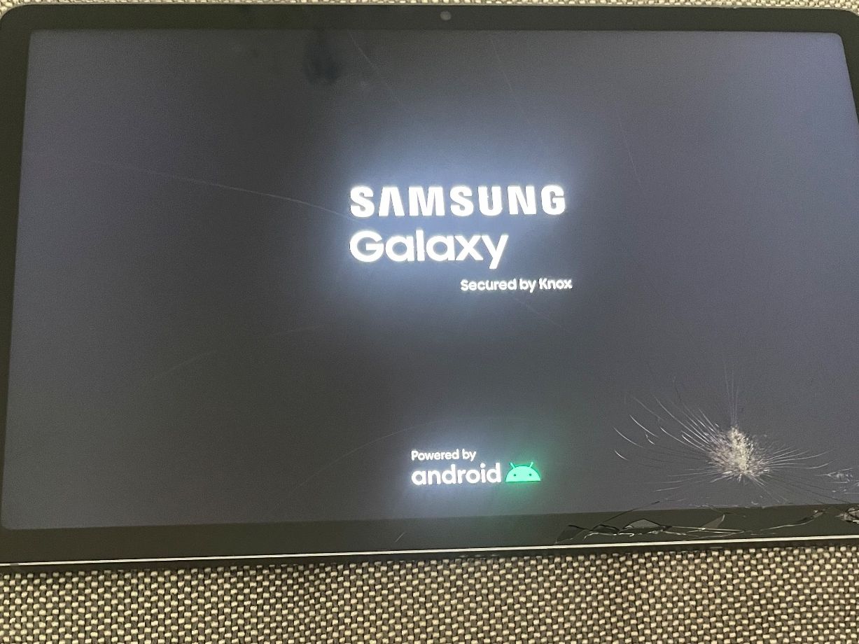 Samsung Tablet PC: Samsung Galaxy Tab S9 FE – Usato da Chavannes-près-Renens venduto da joma29