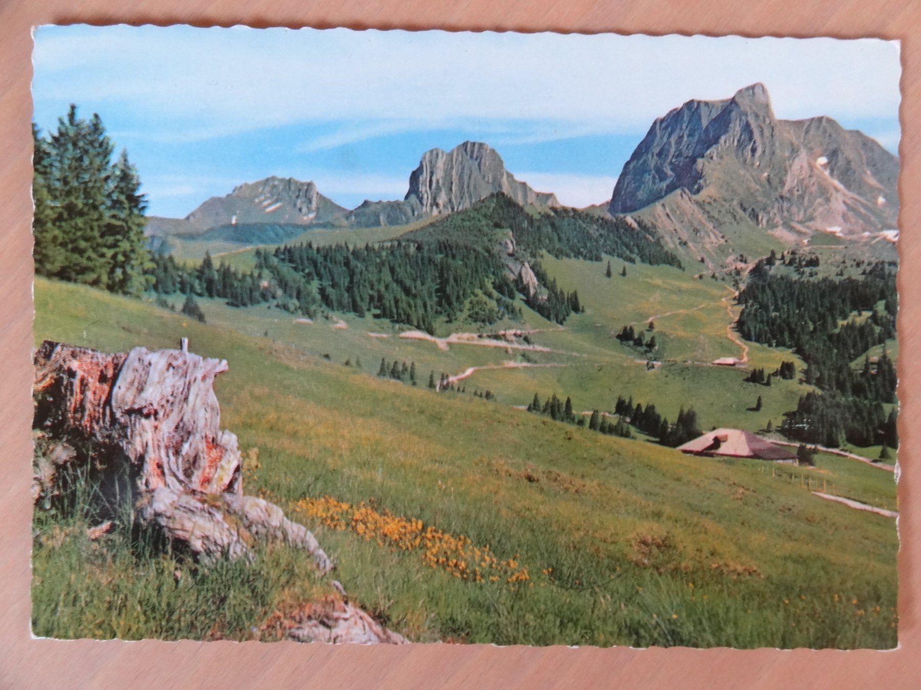 Cartoline postali: GANTRIISCH-SCHWEFELBERG 1972 – Usato da St Léonard venduto da Riglin