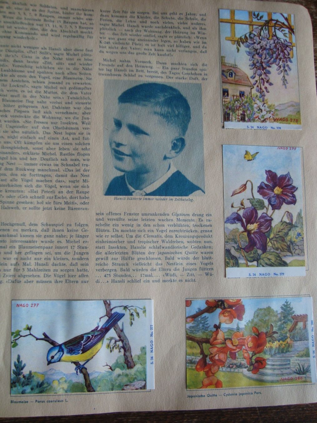 Album: Kann die Heimat so schön sein ! – Usato da Fribourg venduto da ruswil007 2