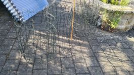 3x Drahtkorb / Pflanzkorb / Beerenkorb für Garten,