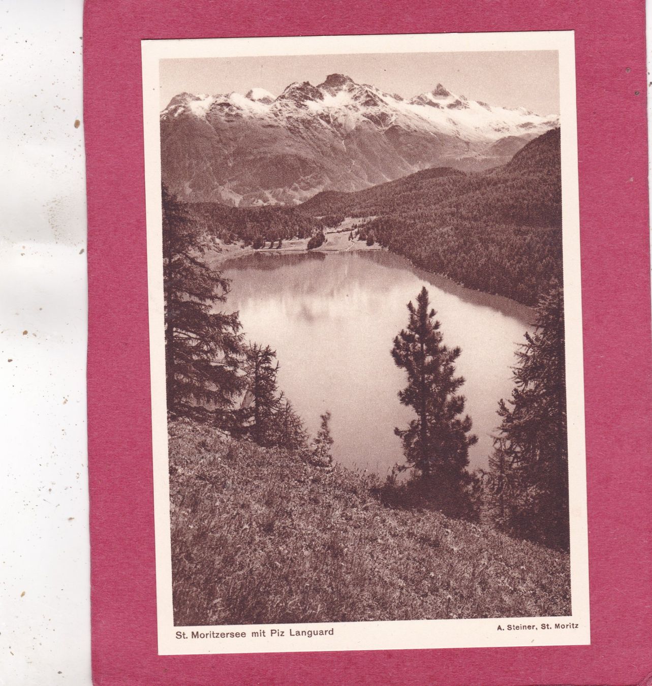 Cartoline postali: St. Moritzersee mit Piz Languard – Usato da Herisau venduto da Lisegrat2008