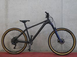NS Bike ECCENTRIC  ( Nr. 224)