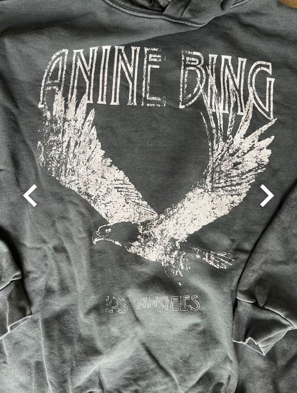Anine Bing Maglioni & Felpe: Anine Bing Kapuzenpullover XS/S – Usato da Winterthur venduto da madame05 4