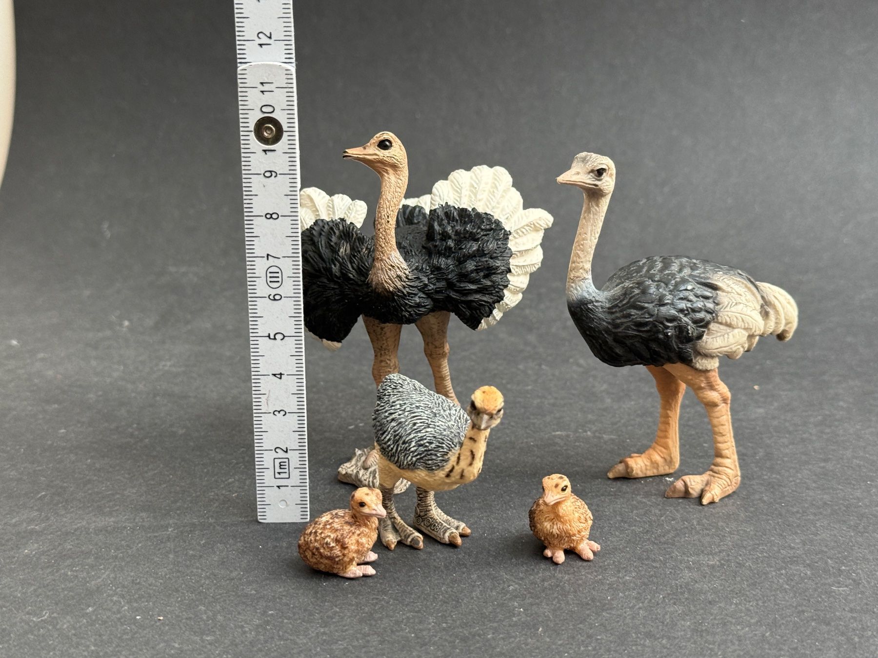 Schleich Statuette: Schleich Strauss Familie – Usato da Ennetbaden venduto da mapa05 1