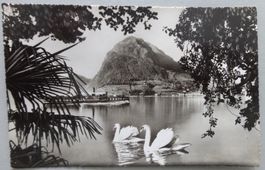 Lago di Lugano - Monte S. Salvatore