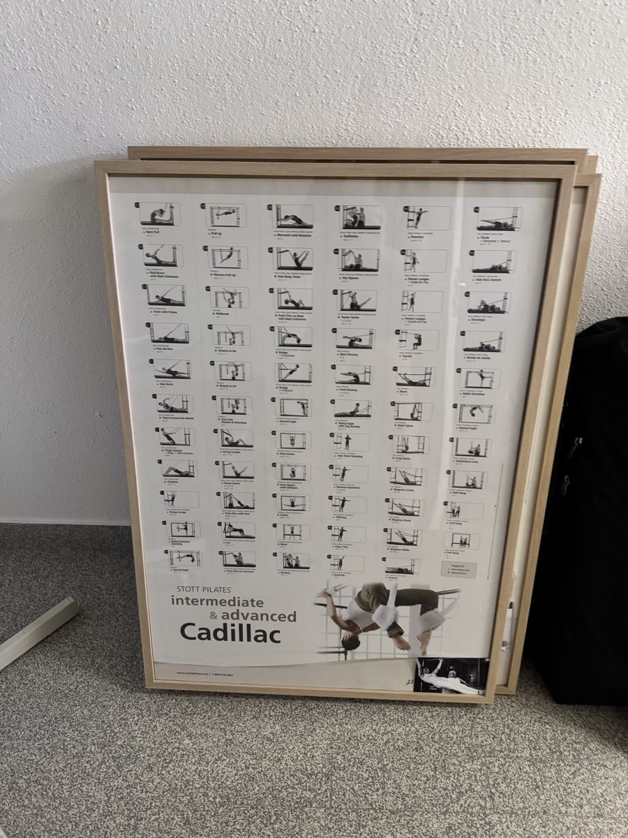 Poster & Bilder: Original STOTT PILATES Anatomie Poster mit Holzrahmen – Gebraucht aus Au ZH von sha_dqx2 1