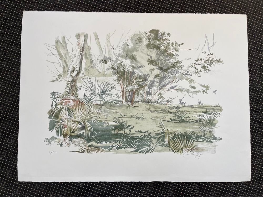 Grafica & Litografie: Camille Hagner    LITHOGRAPHIE SIGNIERT NUMMERIERT – Usato da Gersau venduto da kunst-online 2