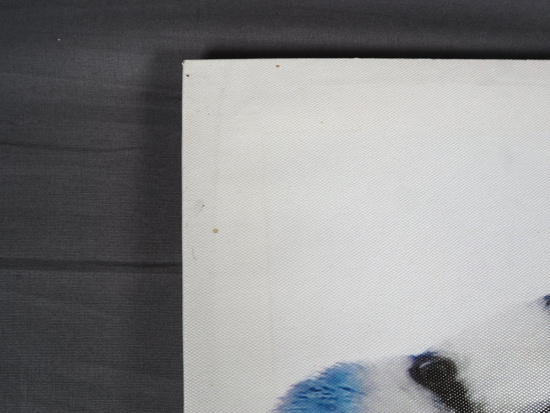 Dipinti: Gemälde Blaumeise auf einem Ast – Usato da Steinen venduto da Restwert_Steinen 4