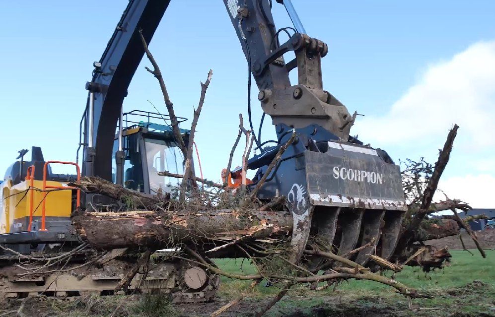 Escavatori: Roderechen mit Greifer S500 – Usato da Bazenheid venduto da BMZentrumGmbH 4