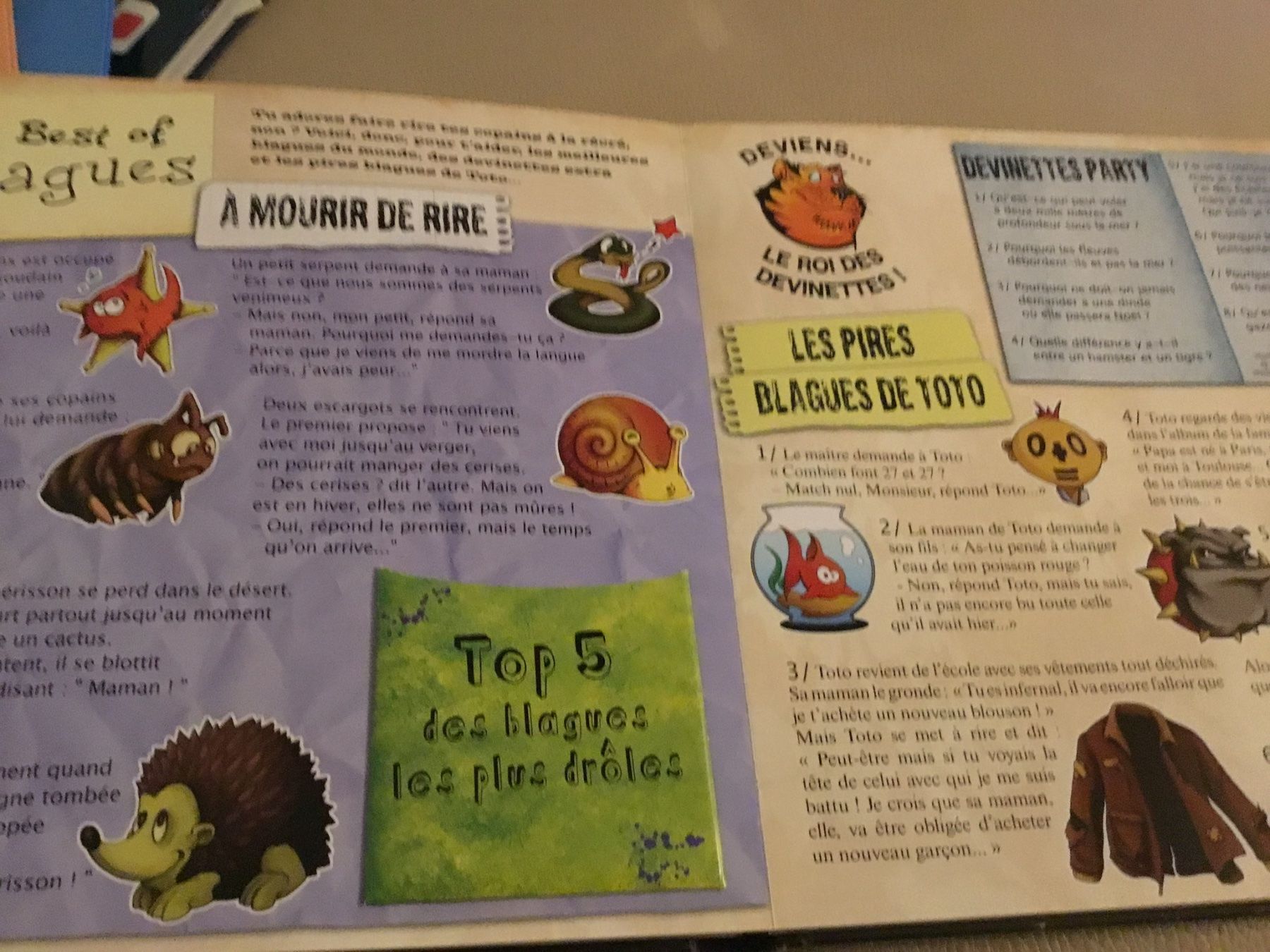 Libri: BOYS BOOK, 100% garçons, éditions LAROUSSE – Nuovo (secondo la descrizione) da Genève venduto da Mazelyne 2