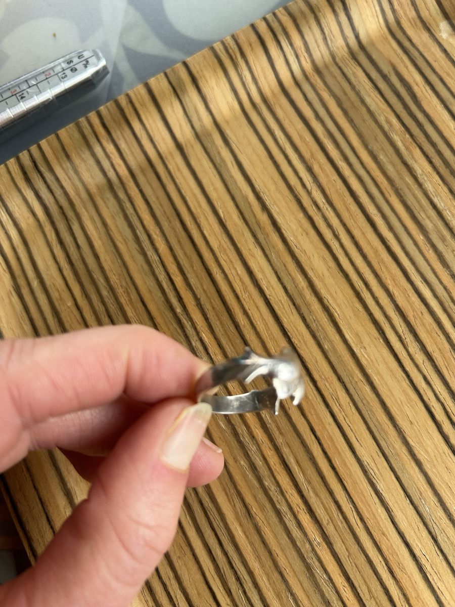 Ciondoli: Set Silber 925 mit Delfin Anhänger und Ring – Usato da Birsfelden venduto da Exclusivity 3