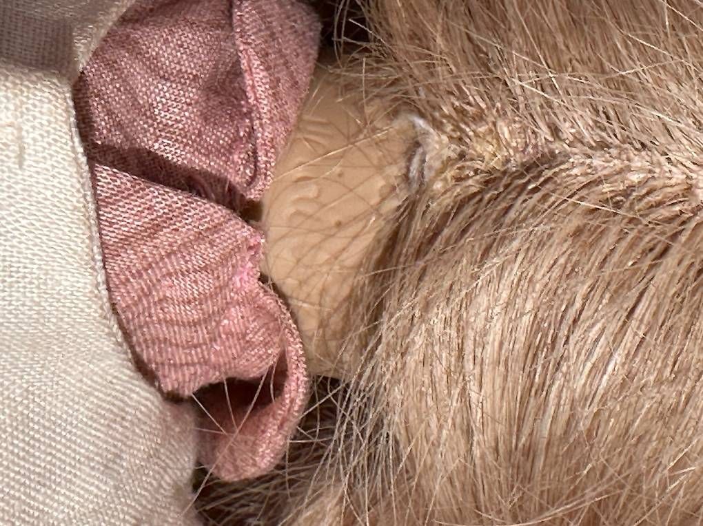 Heidi ott Bambole: Heidi Ott Puppen Junge und Mädchen – Usato da Belp venduto da Thom2021 1