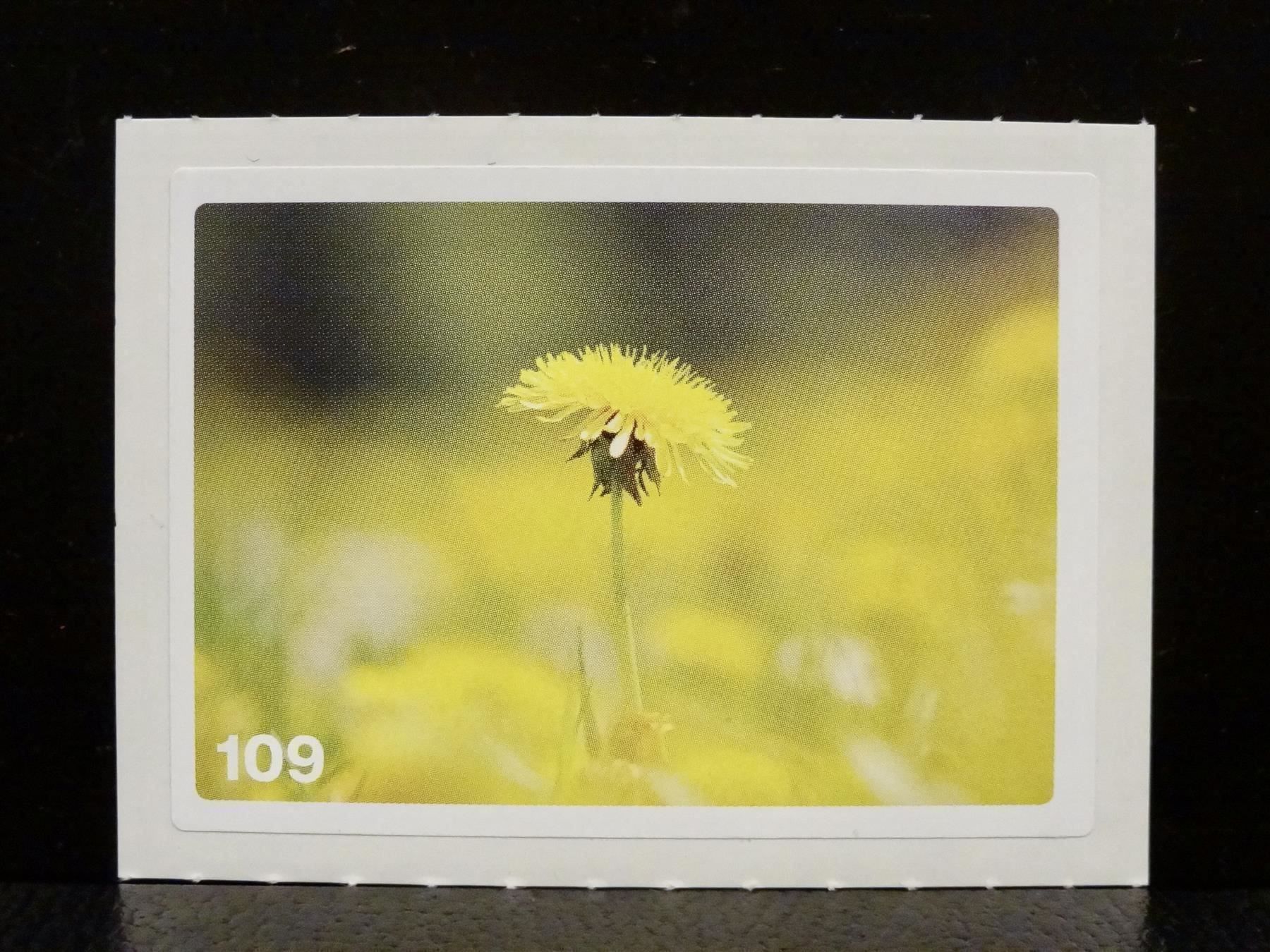 Migros Sammelbilder & Trading cards: MIGROS MANIA Nature Detectives Nr. 109 – Gebraucht aus Kerzers von zimmergruen