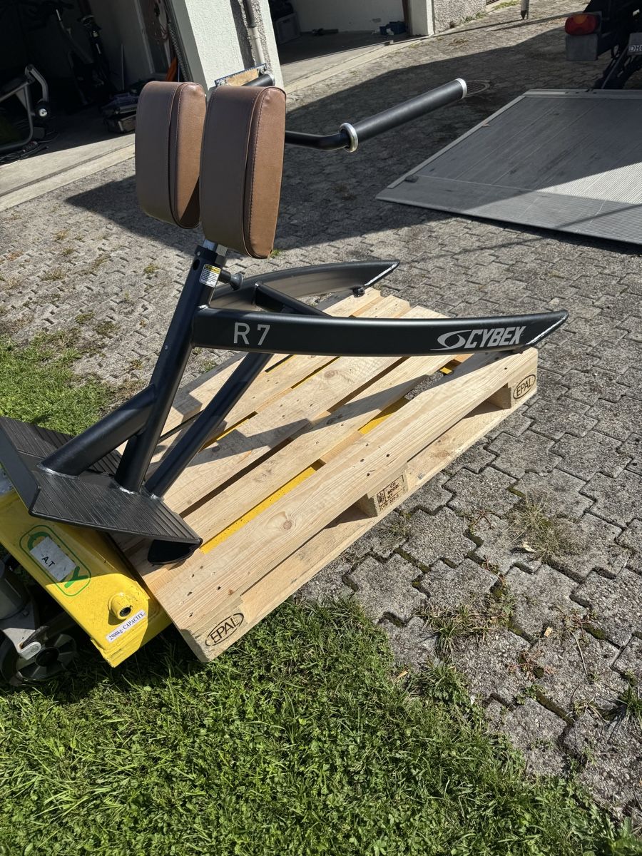 Cybex Hometrainer: Cybex  Back Hyperextension  – Usato da St. Margrethen SG venduto da taf_alb 6