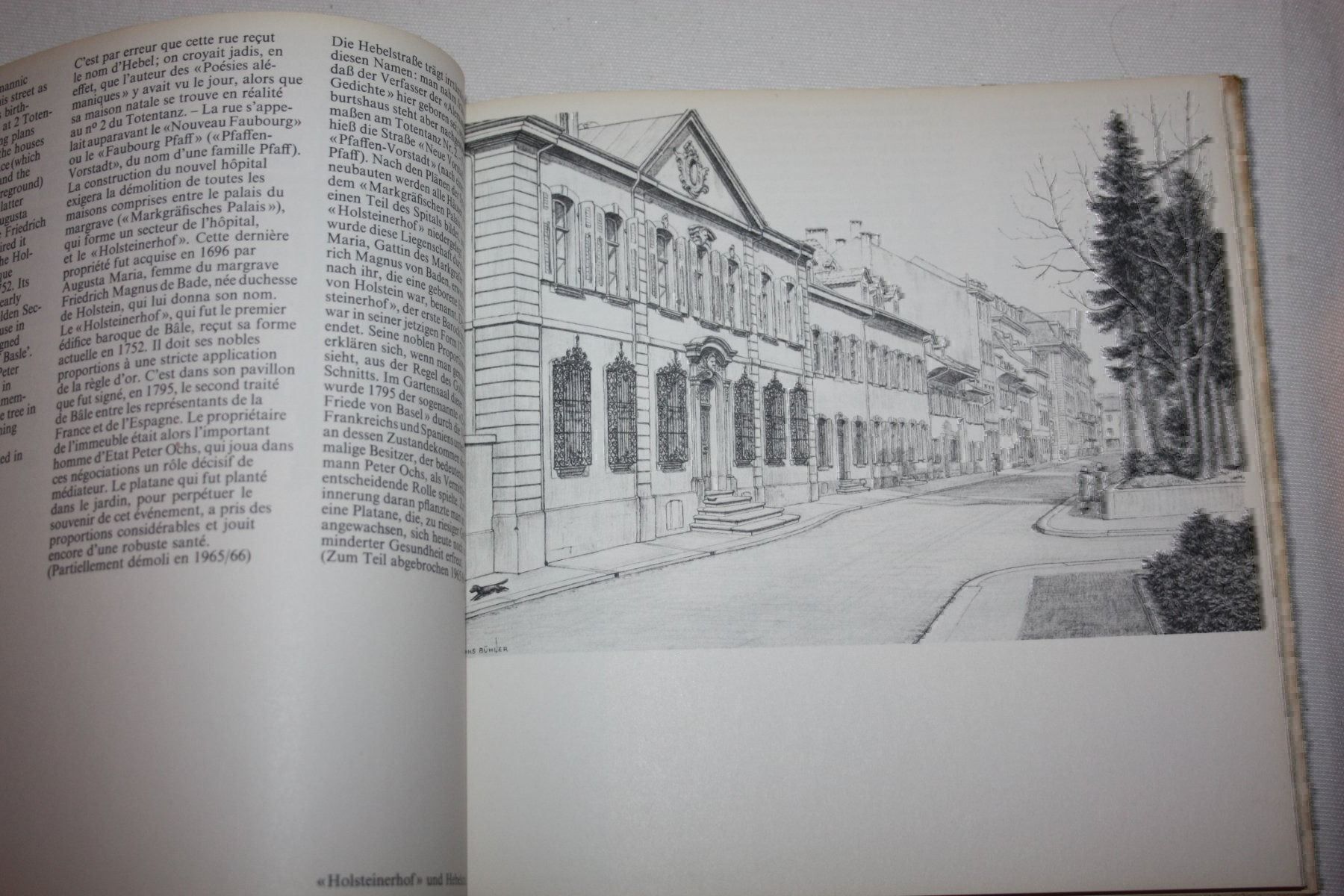 Libri: Hans Bühler: Basel im Wandel – Usato da Oberwil BL venduto da Hesa41 2