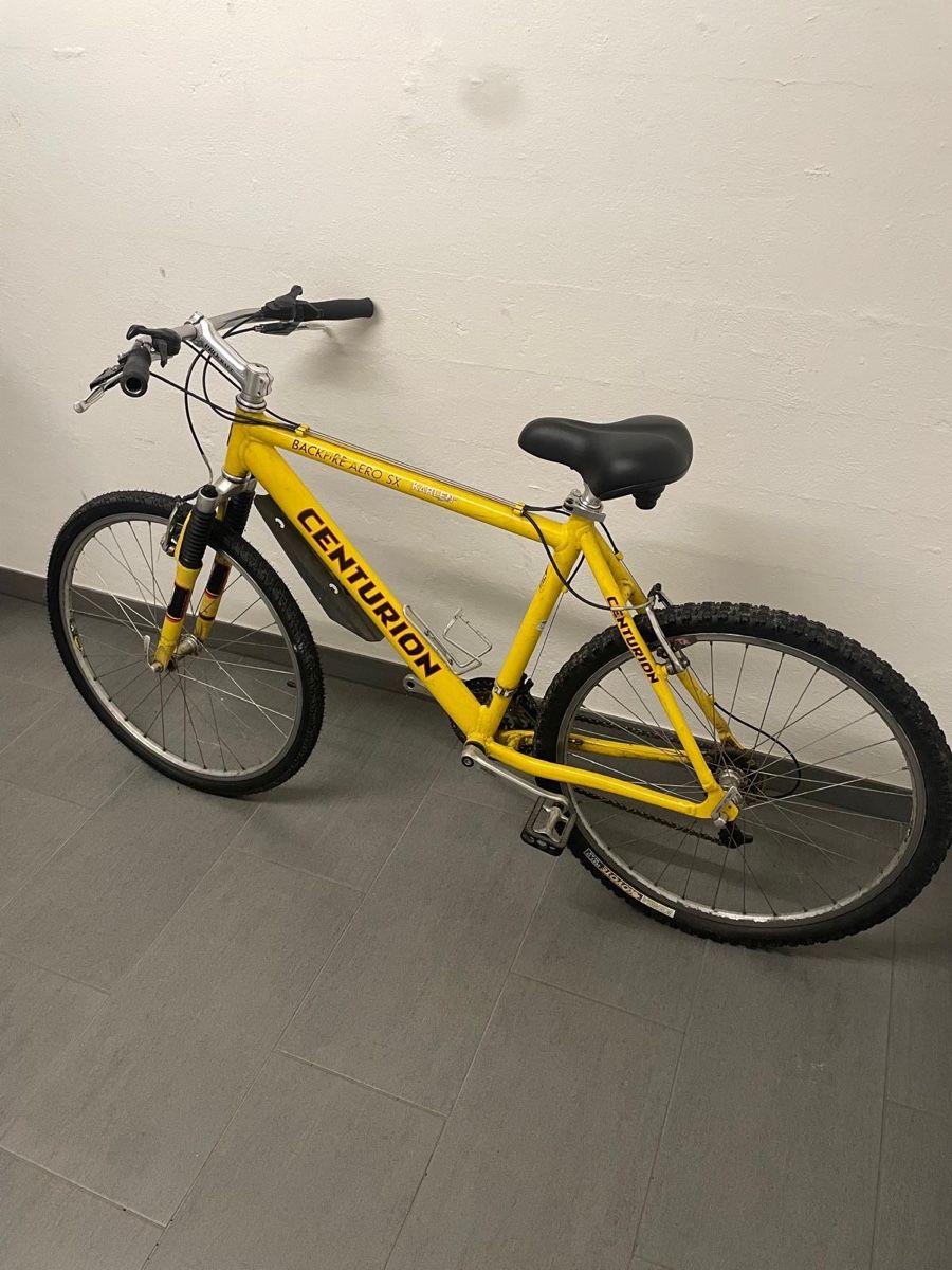 Biciclette: Bike Trailer & Bike Bundle – Usato da Allschwil venduto da maj_75ms 2