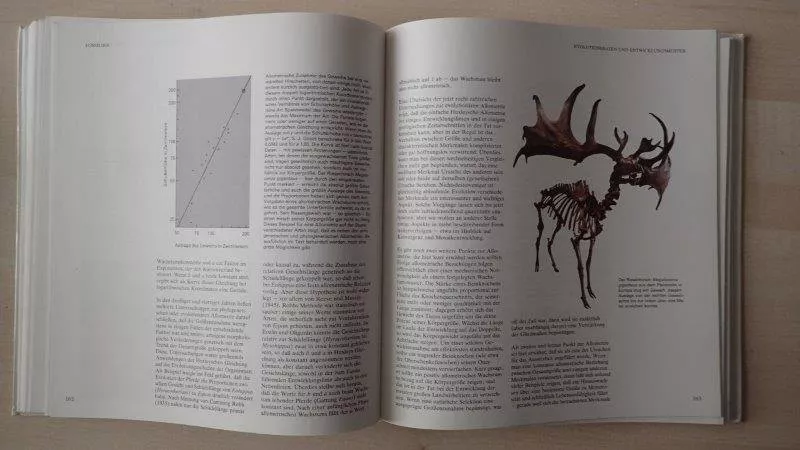 Bücher: Fossilien  Buch – Gebraucht aus Rickenbach BL von Oktober68 2