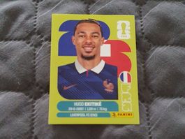 Panini Sticker WM 2026 - FRA 19