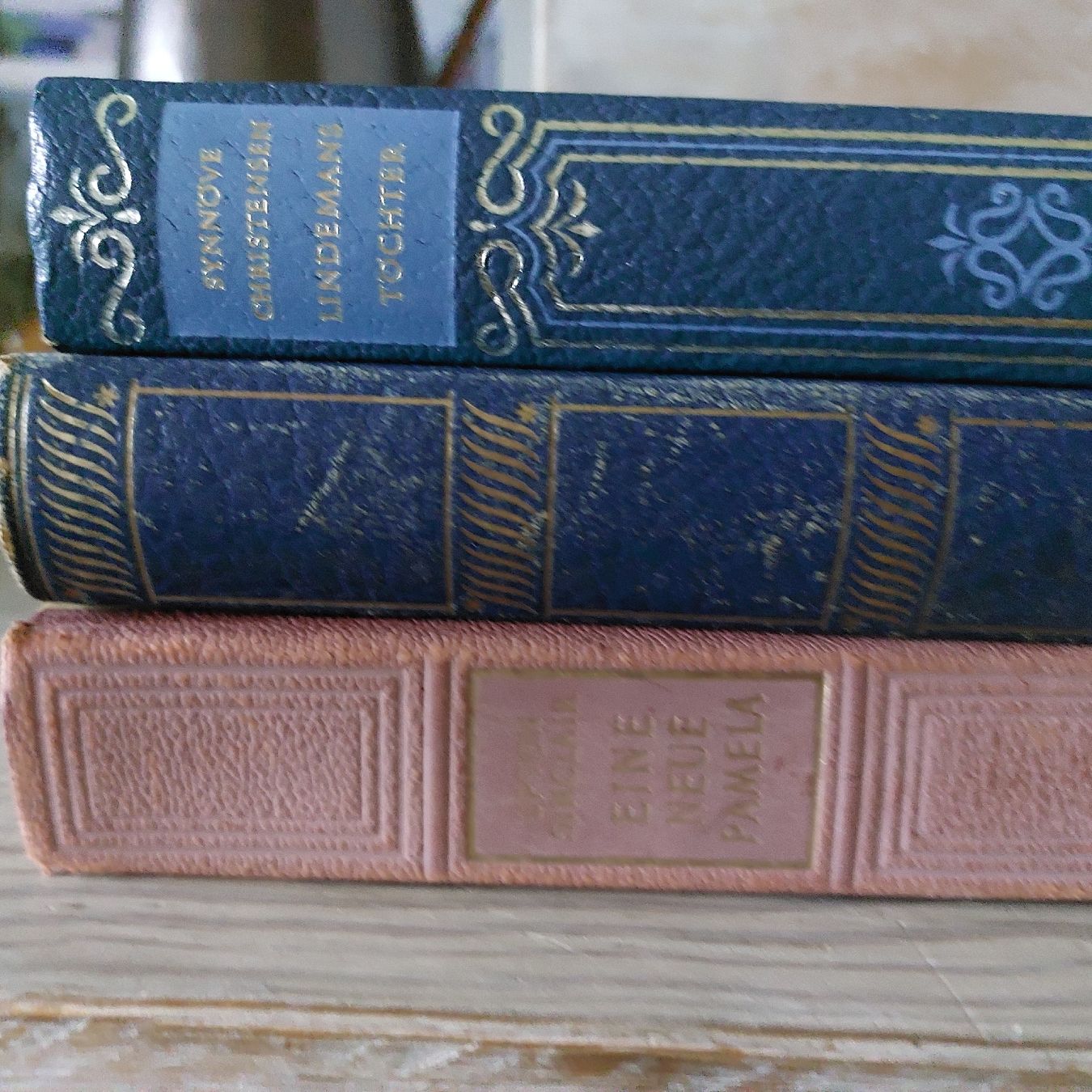 Libri: Homestaging, 50er, Hemingway, U. Sinclair, S. Christensen – Usato da Freienbach venduto da Stuagert