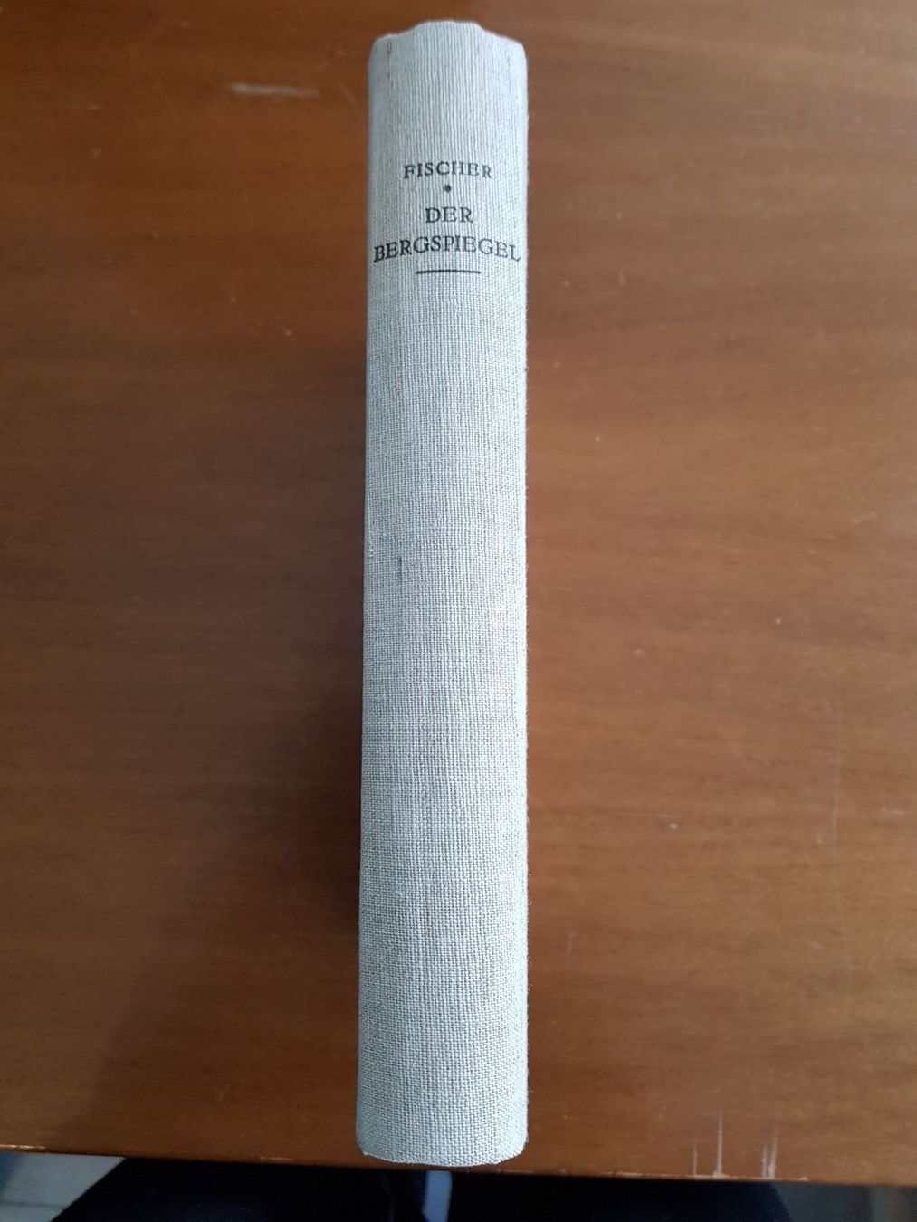 Libri: Der Bergspiegel – Usato da Erstfeld venduto da Mario_boe0 2