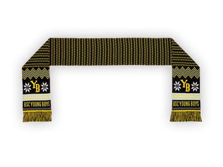 BSC YB Young Boys Schal (NEU)