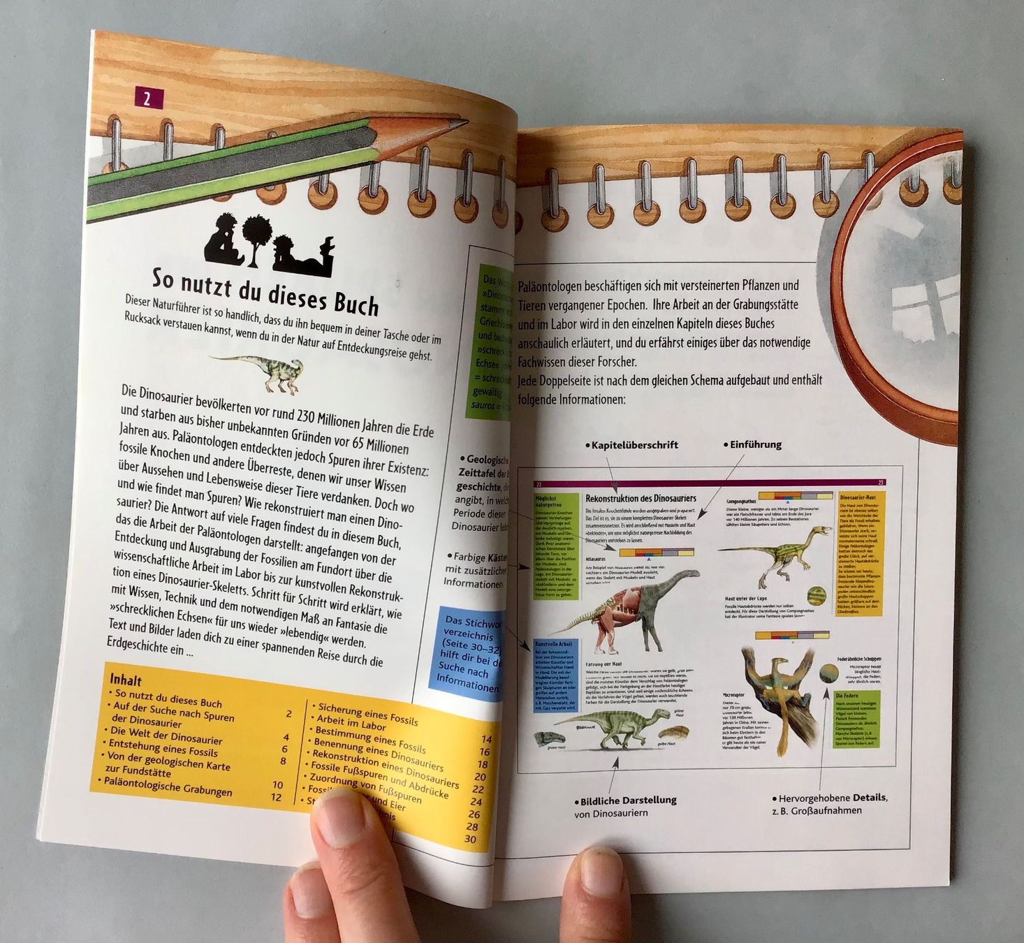 Libri: Auf den Spuren der Dinosaurier! – Nuovo (secondo la descrizione) da Bubendorf venduto da Alpenheidi 3