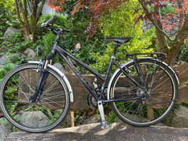 Stevens Primera – Damen City/Trekkingrad – Rahmengrösse 46cm
