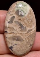 Cabochon L-2022 – Palmenwurzel Achat 38X22X6mm - 38 Ct.